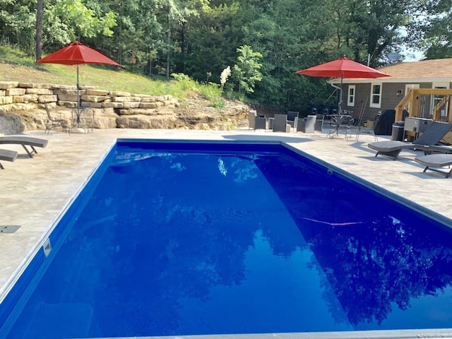 view of swimming pool featuring a patio area