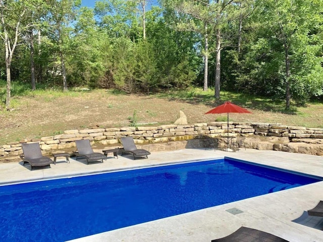 view of pool featuring a patio area