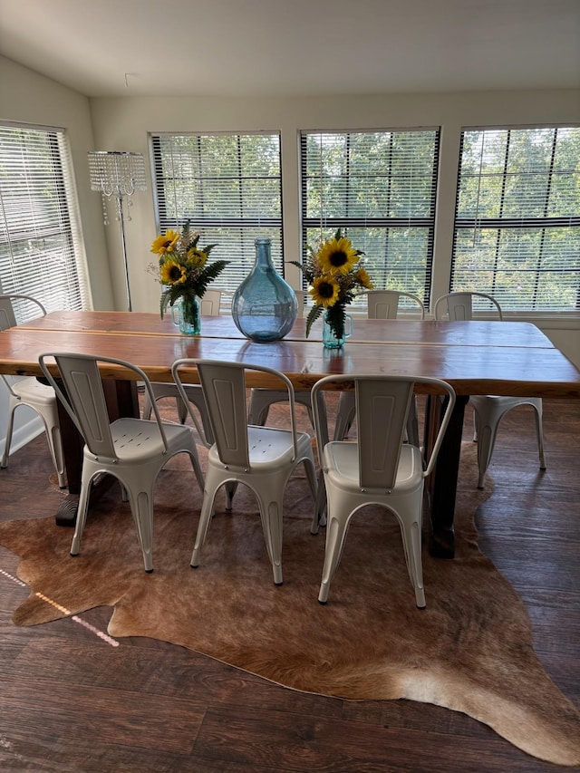 dining space with a healthy amount of sunlight