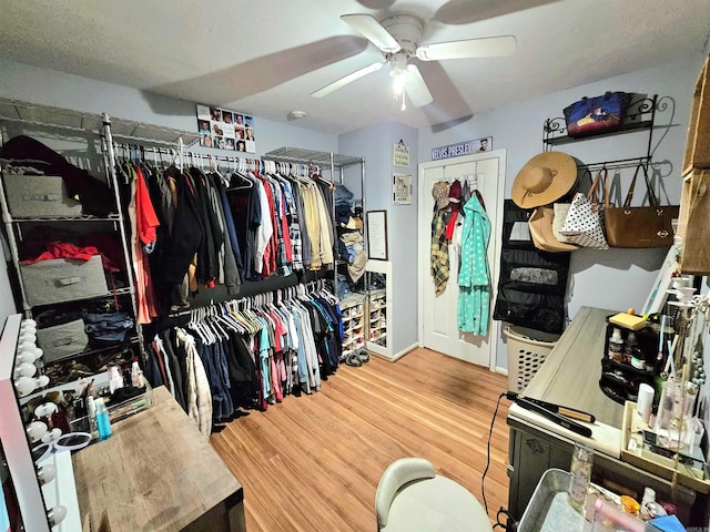 spacious closet featuring light hardwood / wood-style flooring and ceiling fan