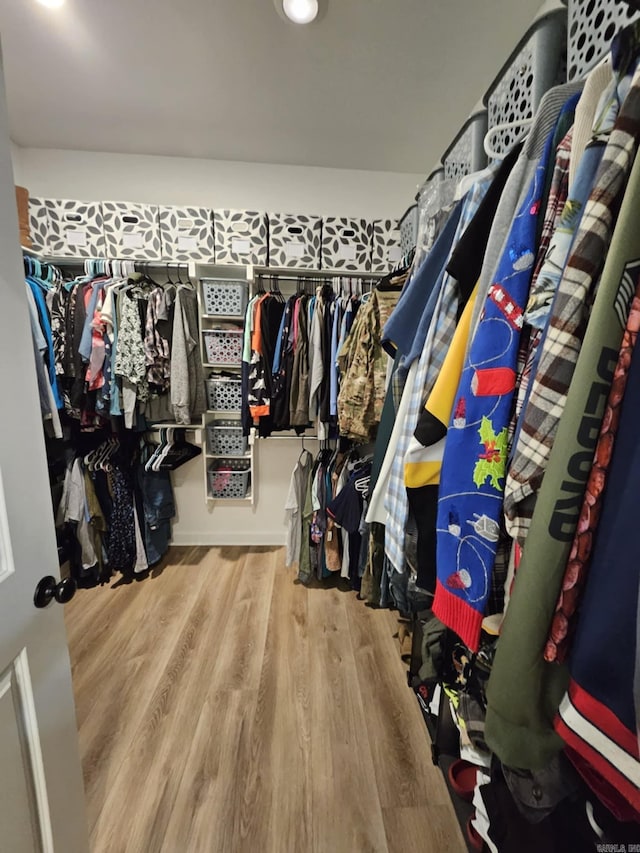 walk in closet featuring wood finished floors