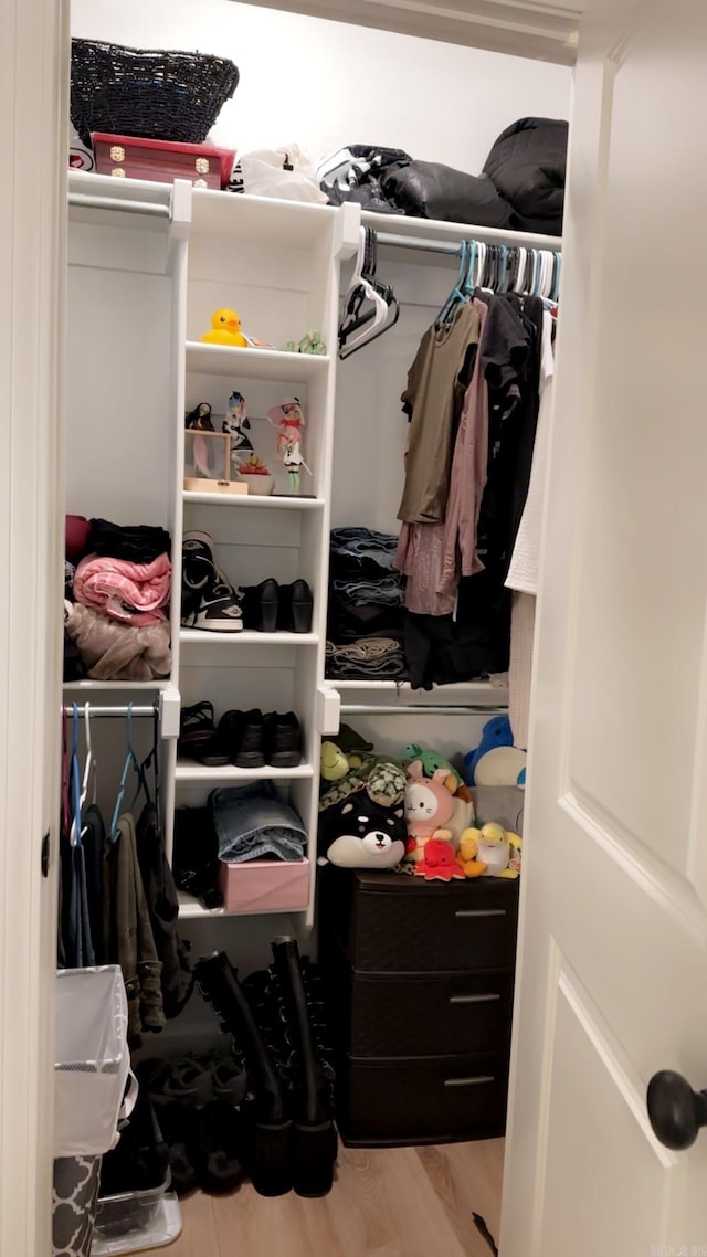 view of closet