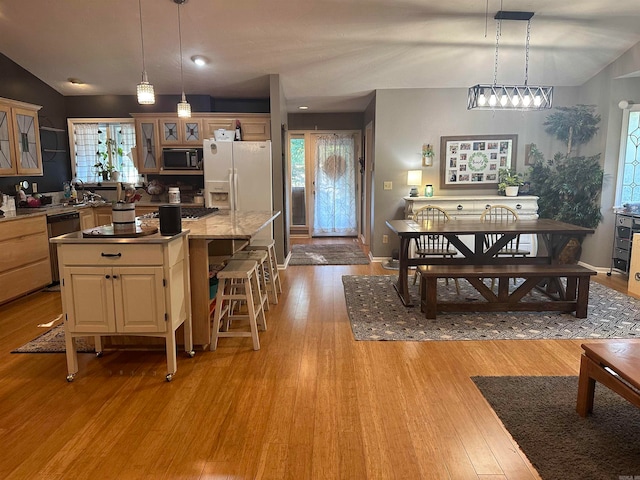 kitchen featuring a healthy amount of sunlight, stainless steel appliances, decorative light fixtures, and light wood-type flooring