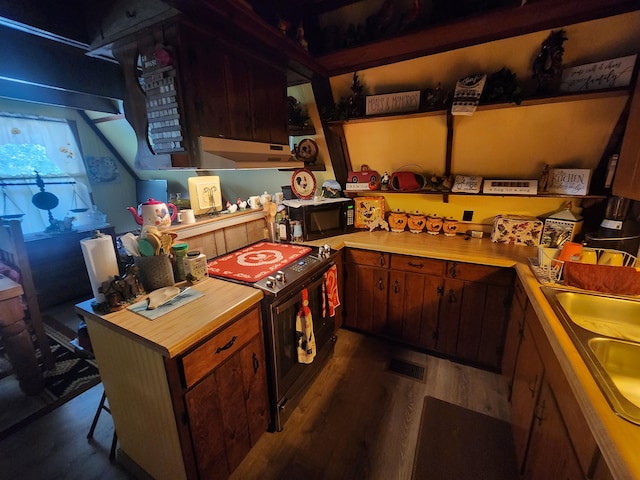 kitchen featuring wood counters, dark hardwood / wood-style floors, sink, and range with electric stovetop