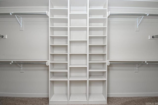 spacious closet with carpet floors