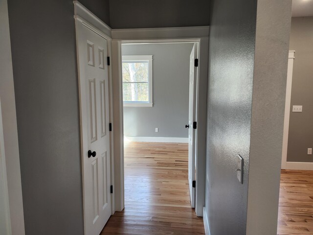 living room with hardwood / wood-style flooring and ceiling fan