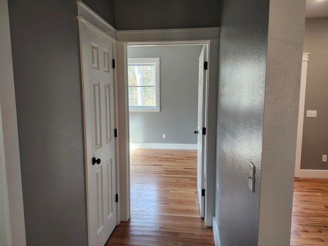 corridor with light hardwood / wood-style flooring