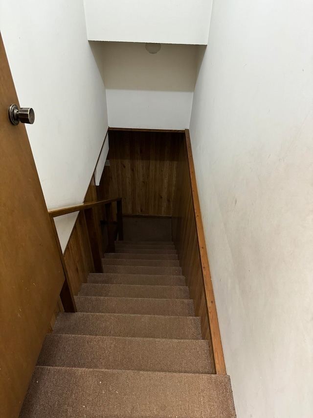 stairs with wood walls and carpet