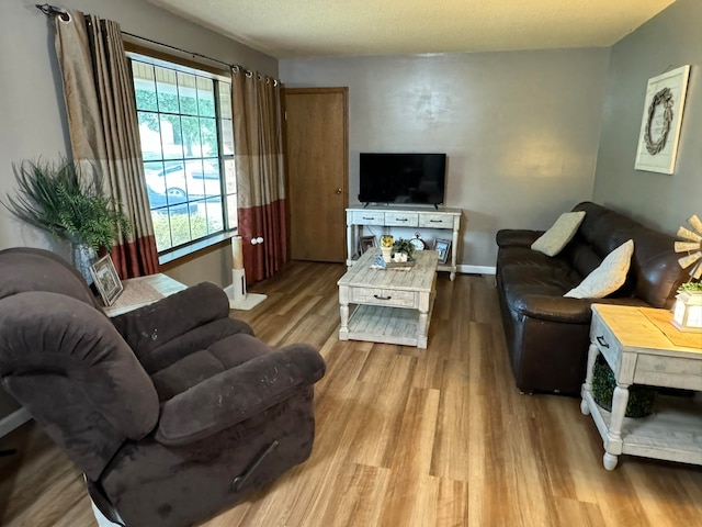 living room with wood-type flooring