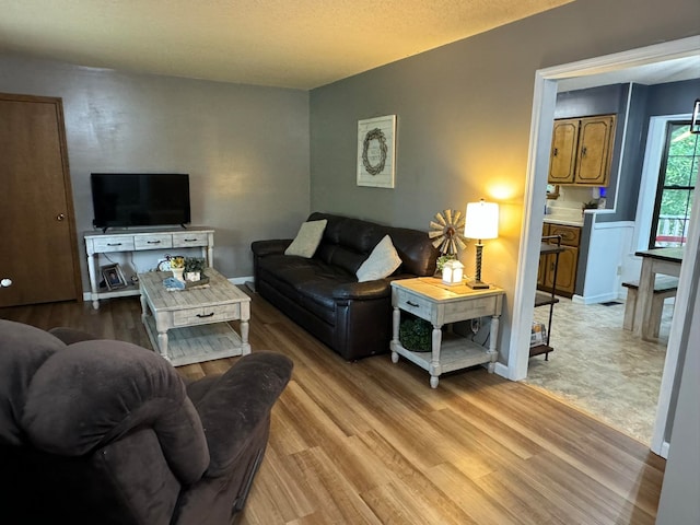 living room with light hardwood / wood-style floors