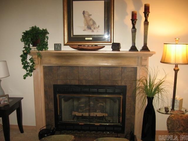 details featuring a fireplace and carpet floors