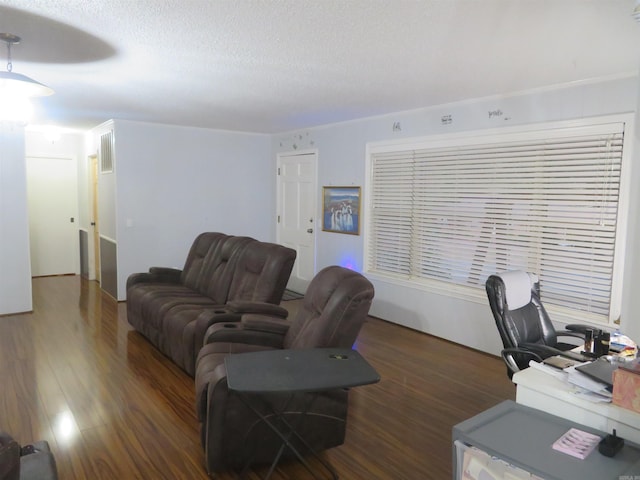 living room featuring dark wood-type flooring and a textured ceiling