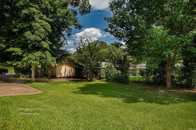 view of yard with a shed