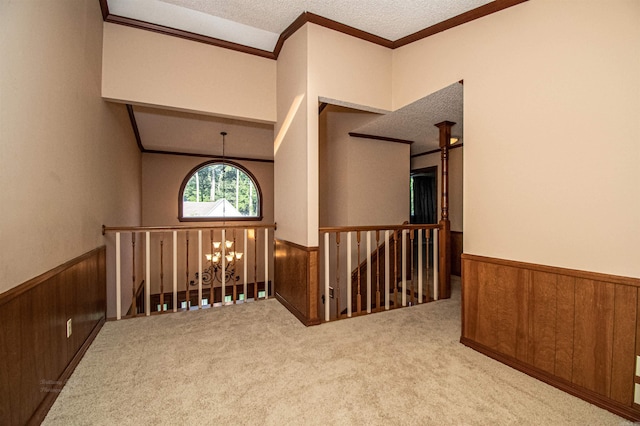 empty room featuring a wainscoted wall, carpet floors, wood walls, and an inviting chandelier