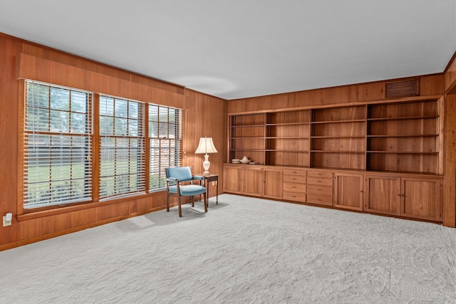 unfurnished room featuring wooden walls, carpet flooring, and a wealth of natural light