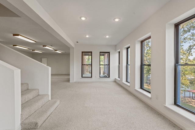 interior space featuring a wealth of natural light and light carpet