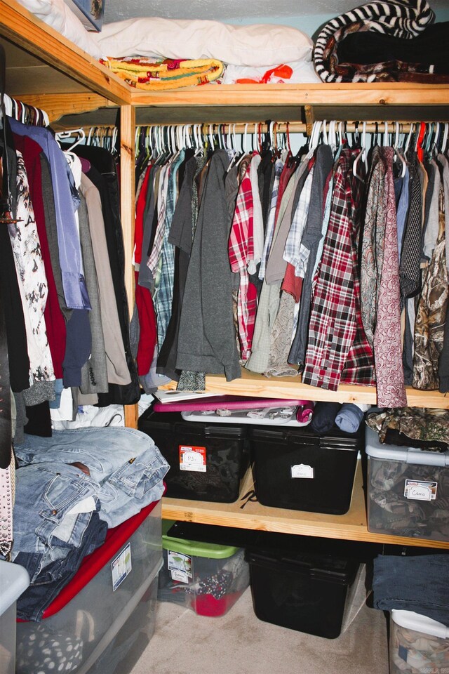 walk in closet with carpet floors