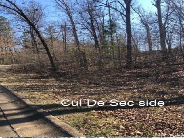 Listing photo 2 for LOT33 Hidden Eagle Ter, Hot Springs AR 71901