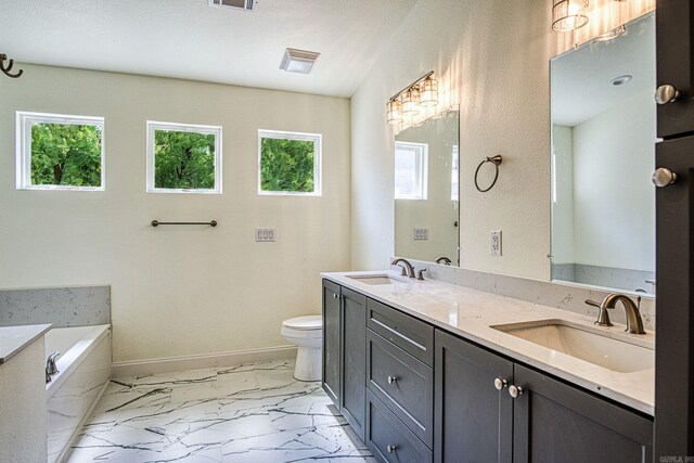 bathroom featuring toilet, vanity, a washtub, and a healthy amount of sunlight