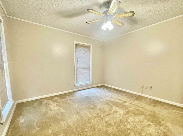 empty room with carpet, a textured ceiling, baseboards, and crown molding