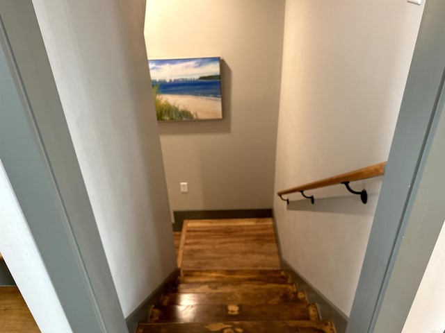 stairway featuring hardwood / wood-style floors