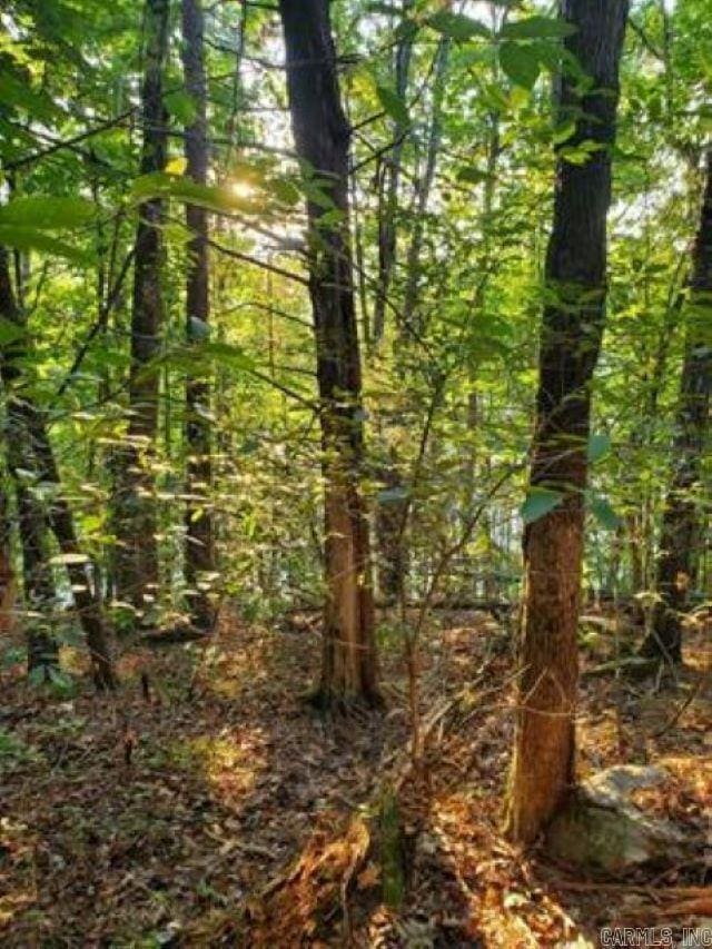 Lakeside Dr, Fairfield Bay, AR 72088
