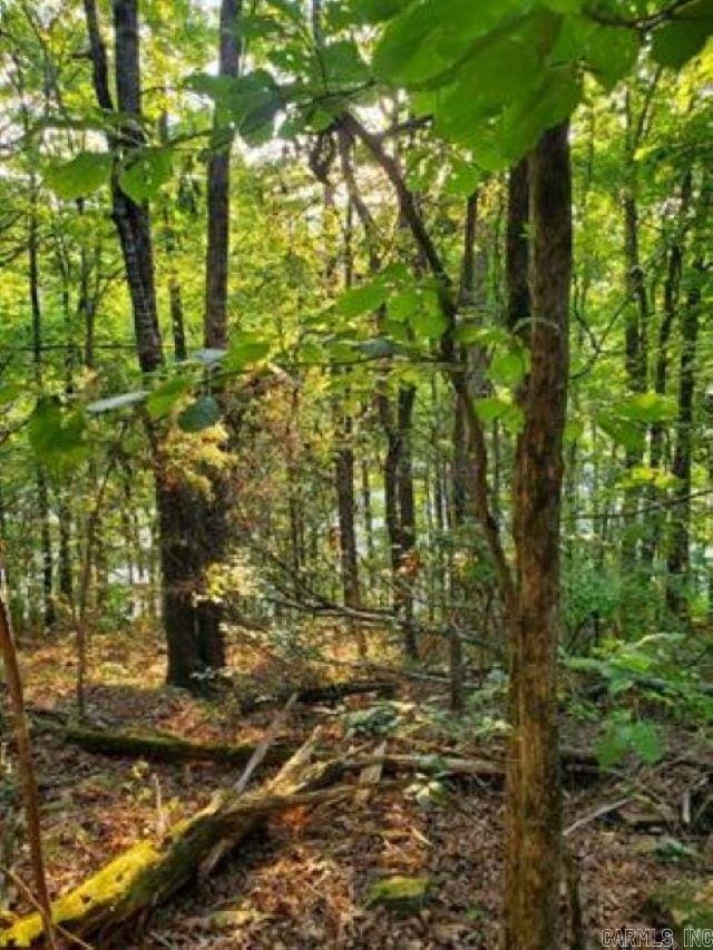 Lakeside Dr, Fairfield Bay, AR 72088