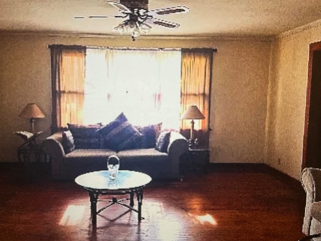 living room with ceiling fan and wood-type flooring