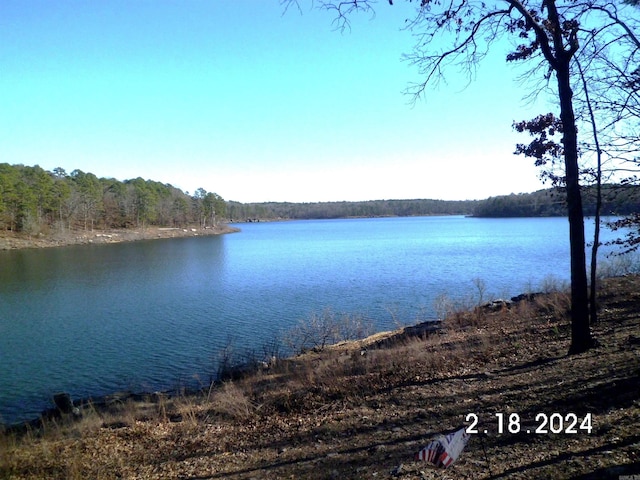 water view featuring a view of trees