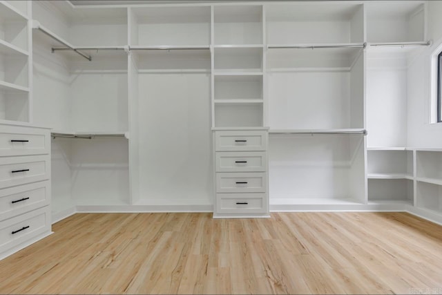 spacious closet with light hardwood / wood-style floors