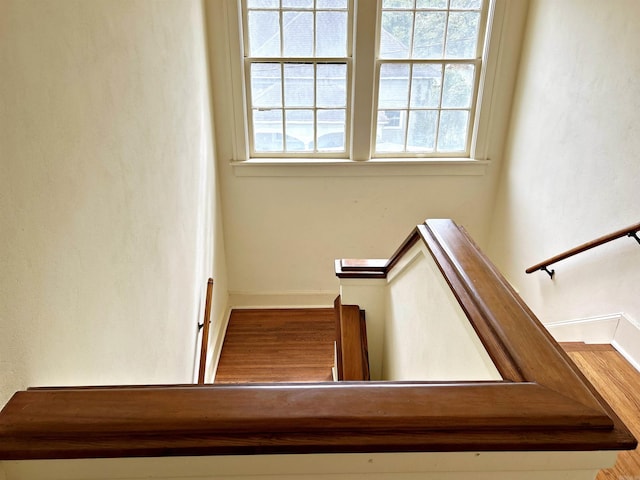 stairs with hardwood / wood-style floors