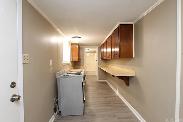 6 Fox Hill Rd, Greenbrier, AR 72058 - clothes washing area with cabinet space, baseboards, ornamental molding, and light wood-style floors