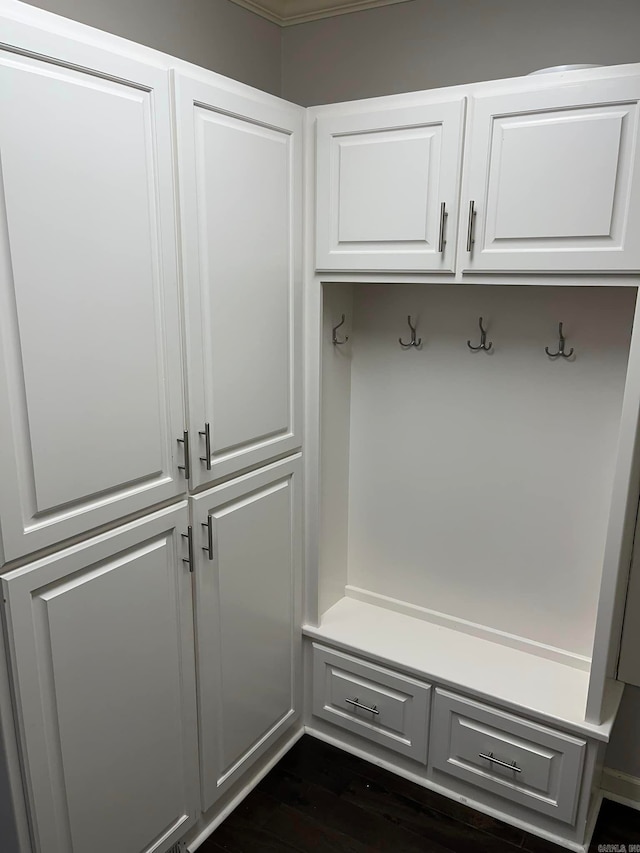 mudroom with dark hardwood / wood-style floors