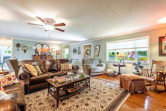 living room with ceiling fan, ornamental molding, and hardwood / wood-style flooring