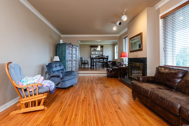 living room with ornamental molding, wood-type flooring, and rail lighting