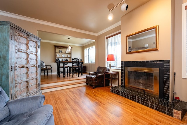 living room with ornamental molding and hardwood / wood-style floors