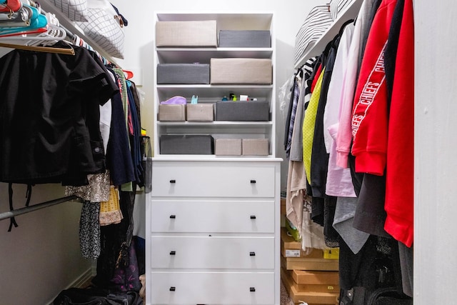 view of spacious closet