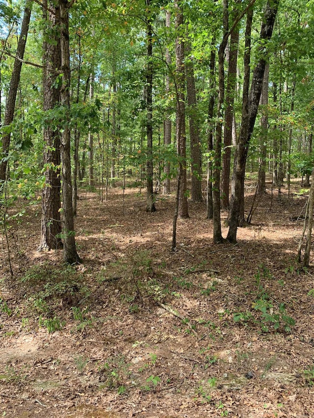 5 Lazo Pl, Hot Springs Village AR, 71909 land for sale