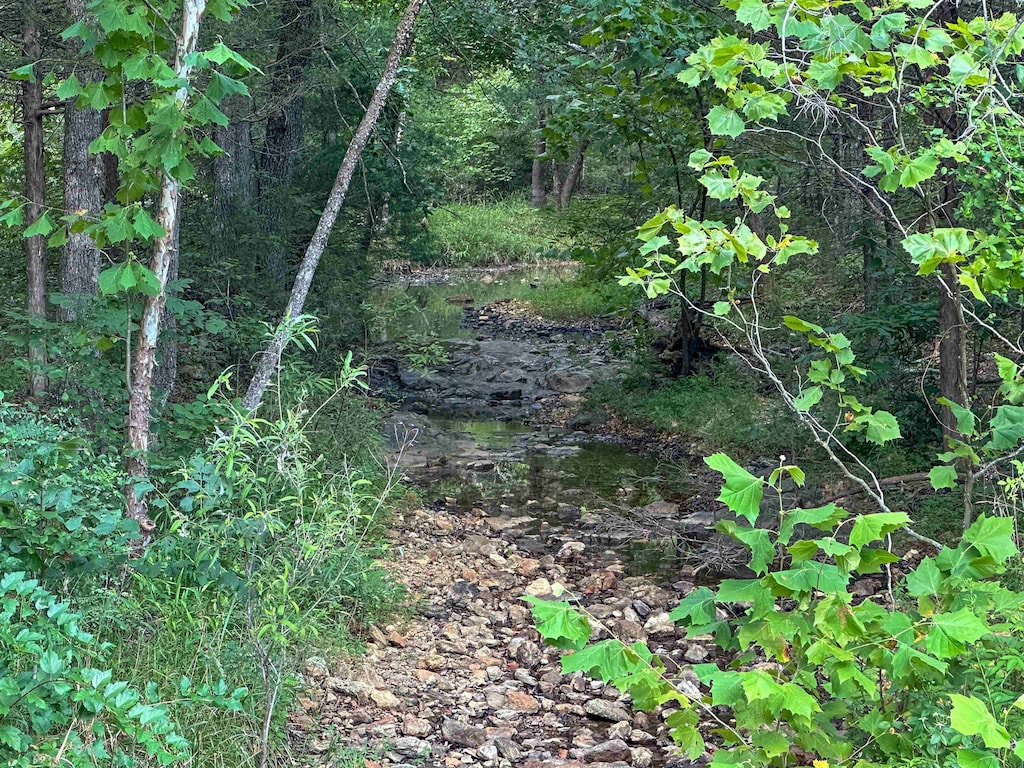 000 63rd Hwy, Hardy, AR 72542