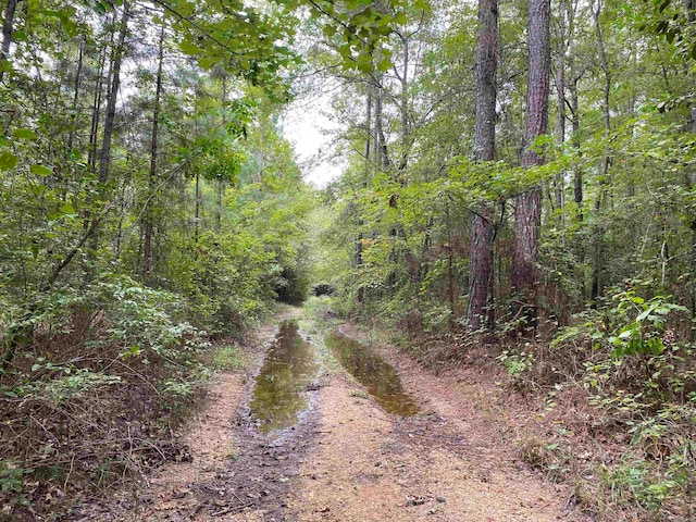 000 Grant 291 Hwy, White Hall AR, 71602 land for sale