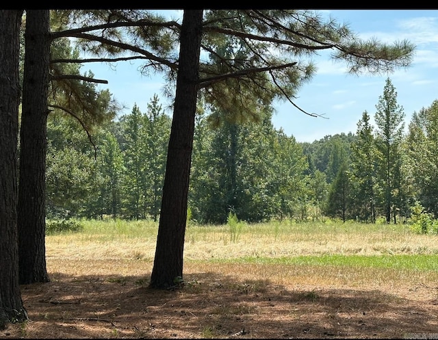 view of nature with a wooded view