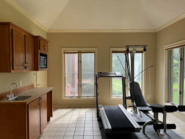 exercise room with light tile patterned floors, sink, ornamental molding, a textured ceiling, and vaulted ceiling