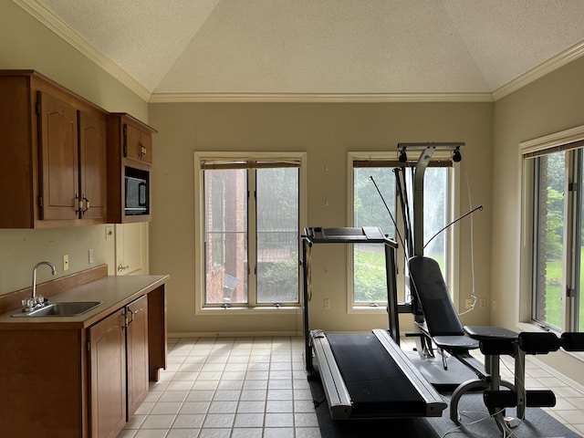 exercise area with a textured ceiling, vaulted ceiling, crown molding, and a sink