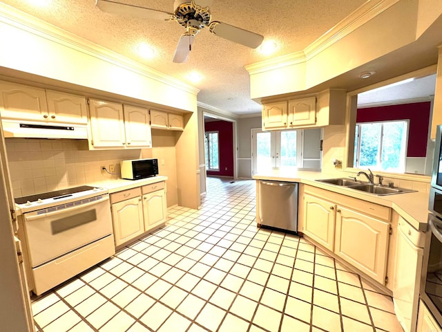 kitchen featuring ceiling fan, sink, stainless steel dishwasher, electric stove, and crown molding