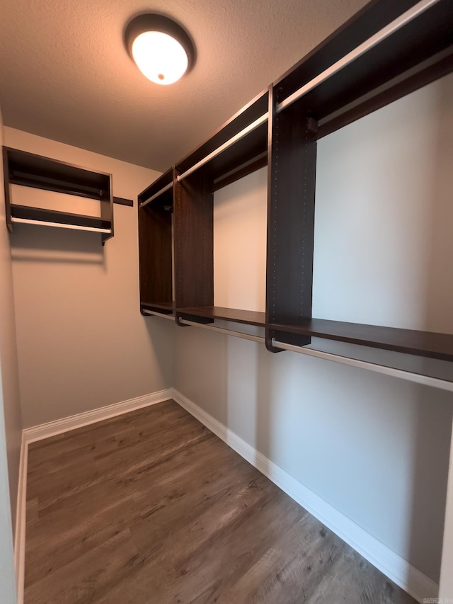 spacious closet with wood finished floors