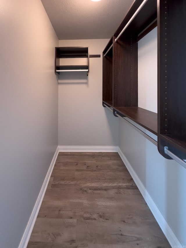 walk in closet featuring wood finished floors