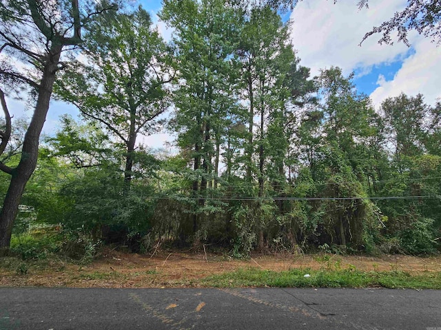 TBD Doggett Cir, Horatio, AR 71842