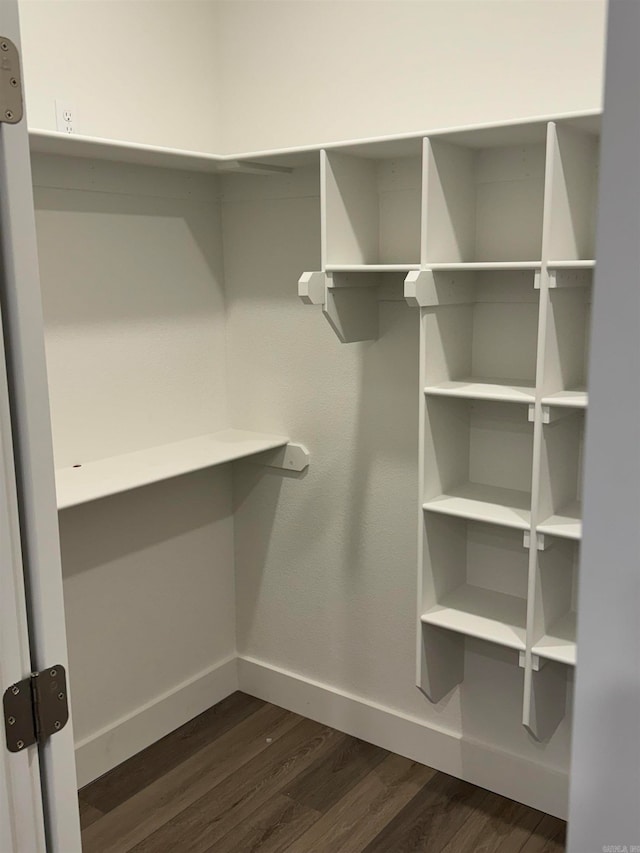 walk in closet featuring dark hardwood / wood-style floors