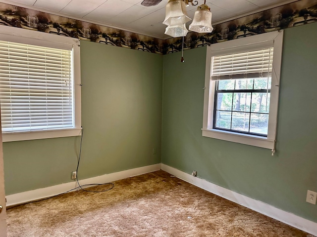 spare room with ceiling fan and carpet floors