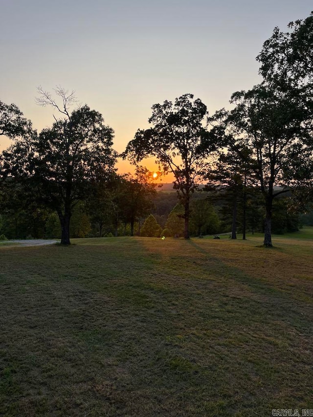 view of yard at dusk